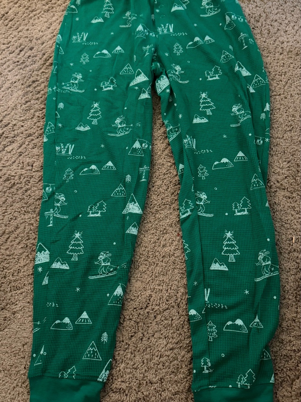 Wondershop Green Ski & Tree Print Pajama Pants
